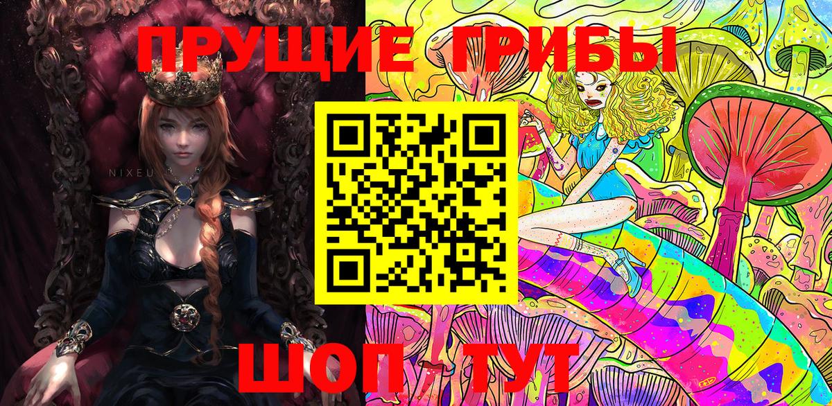 Галлюциногенные грибы Psilocybe Саратов