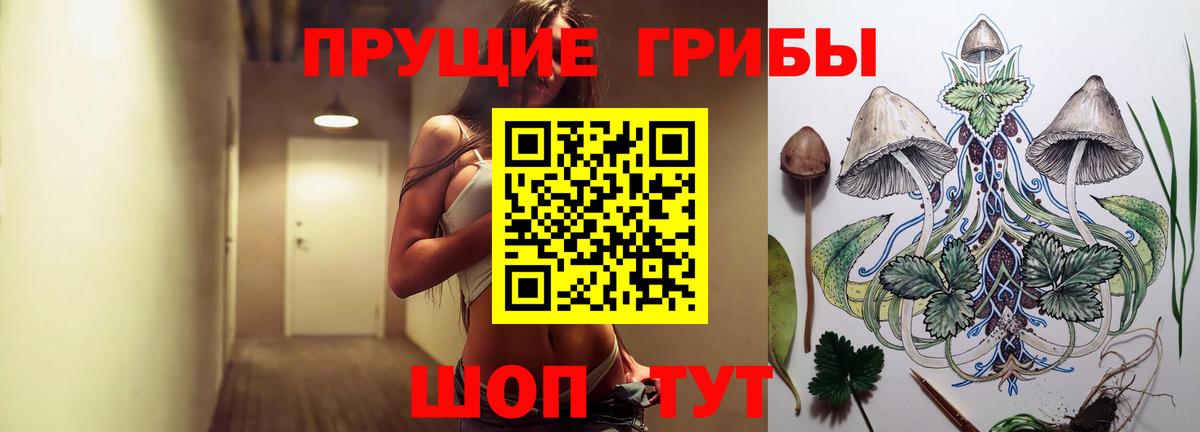 Галлюциногенные грибы Magic Shrooms  Галлюциногенные грибы прущие грибы  Вход с VPN  Саратов 